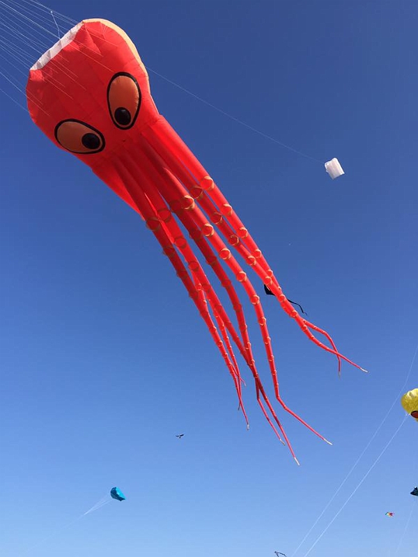1 (36).jpg